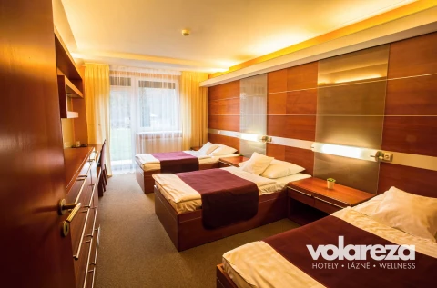 Hotel VZ Měřín Slapská přehrada - obrázek 4